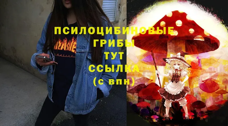 ссылка на мегу ССЫЛКА  Кондрово  Галлюциногенные грибы Psilocybine cubensis 